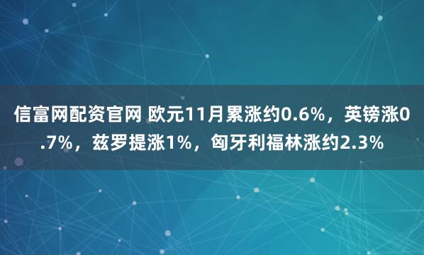 信富网配资官网 欧元11月累涨约0.6%，英镑涨0.7%，兹罗提涨1%，匈牙利福林涨约2.3%