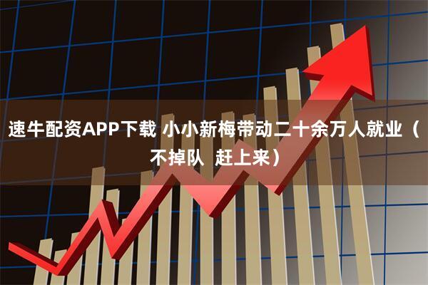 速牛配资APP下载 小小新梅带动二十余万人就业（不掉队  赶上来）