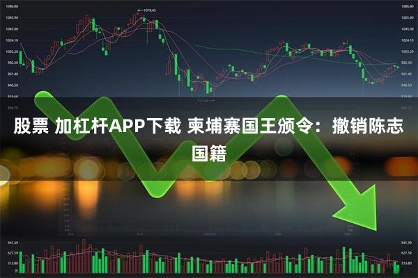 股票 加杠杆APP下载 柬埔寨国王颁令：撤销陈志国籍